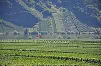 WRC-D 20-08-2010 074.jpg